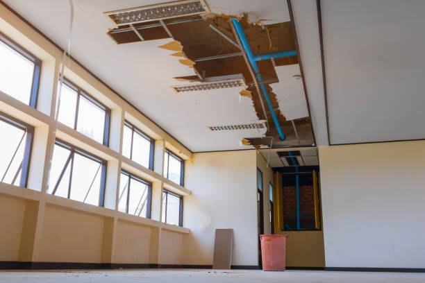 Best Flood damage cleanup  in Stephens City, VA