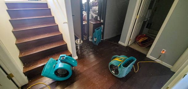 Best Professional water damage repair  in Stephens City, VA