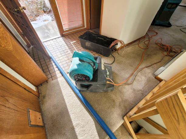 Best Carpet water damage restoration  in Stephens City, VA