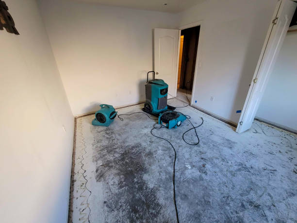 Trusted VA Water damage restoration Experts