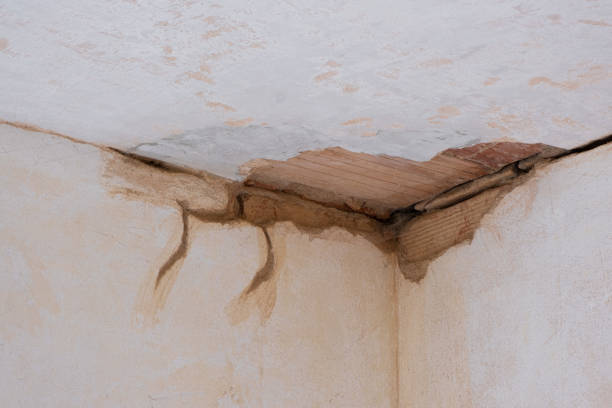 Best Water damage restoration specialists  in Stephens City, VA