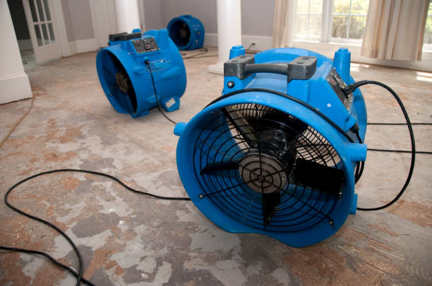Best Residential water damage restoration  in Stephens City, VA