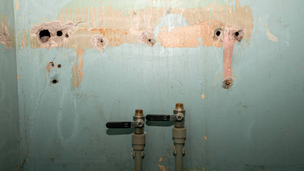 Best Local water damage restoration  in Stephens City, VA