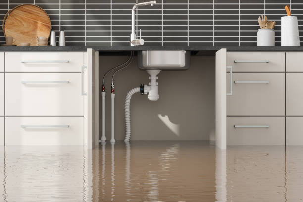 Best Flood restoration services  in Stephens City, VA
