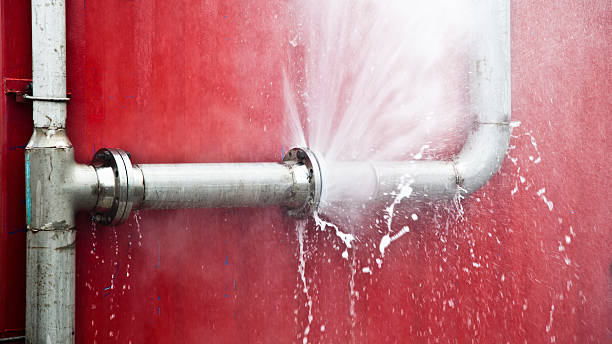 Best Water damage cleanup near me  in Stephens City, VA