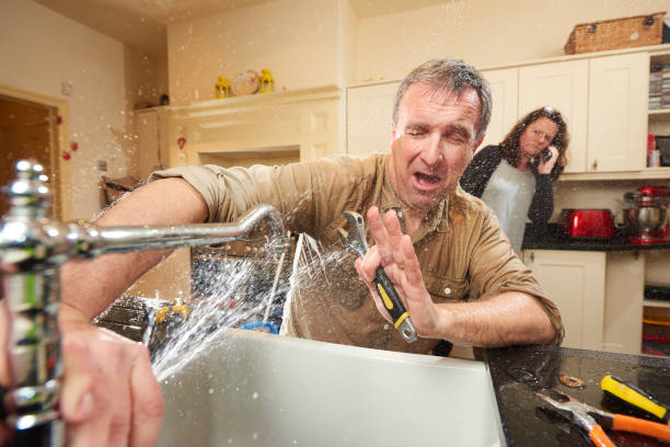 Best Sewage cleanup and water damage restoration  in Stephens City, VA